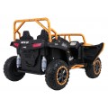 Buggy Arctic Cat WILDCAT XXGold