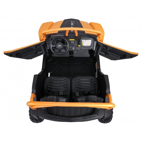 Buggy Arctic Cat WILDCAT XXGold