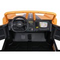 Buggy Arctic Cat WILDCAT XXGold