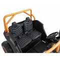 Buggy Arctic Cat WILDCAT XXGold