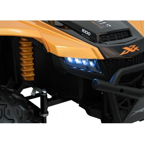 Buggy Arctic Cat WILDCAT XXGold