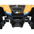 Buggy Arctic Cat WILDCAT XXGold