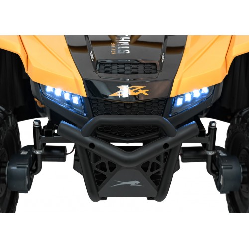Buggy Arctic Cat WILDCAT XXGold