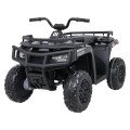 Čtyřkolka 4x4 WOLF  černá