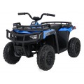 Čtyřkolka WOLF Blue 4x4