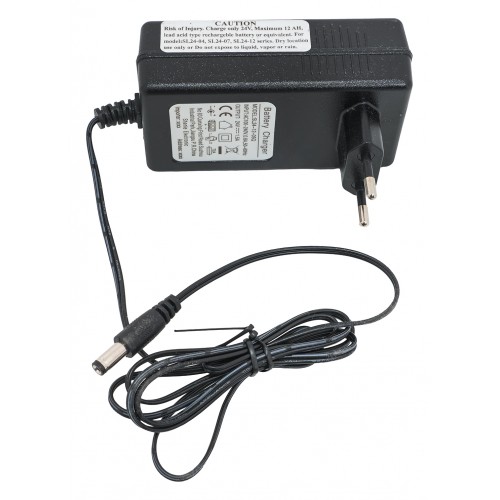 copy of Nabíječka 24 V/1000 mA pro elektrická vozidla a gelové baterie