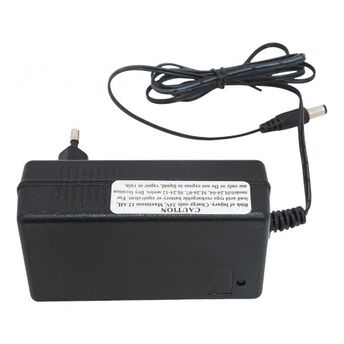 copy of Nabíječka 24 V/1000 mA pro elektrická vozidla a gelové baterie