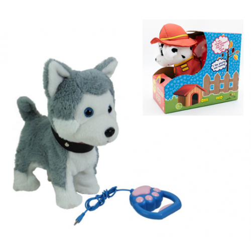 R/C Dog Gray