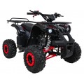 Čtyřkolka WILDPEAK 110cc Red Combustion