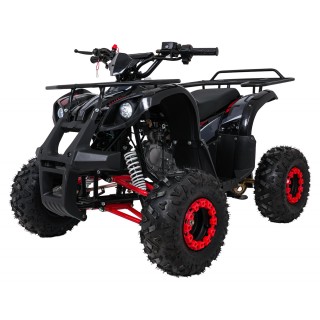 Čtyřkolka WILDPEAK 110cc Red Combustion