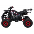 Čtyřkolka WILDPEAK 110cc Red Combustion