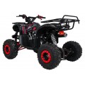 Čtyřkolka WILDPEAK 110cc Red Combustion