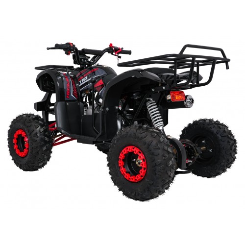 Čtyřkolka WILDPEAK 110cc Red Combustion