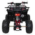 Čtyřkolka WILDPEAK 110cc Red Combustion
