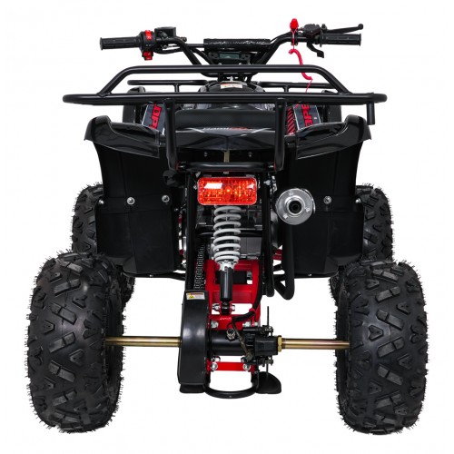 Čtyřkolka WILDPEAK 110cc Red Combustion