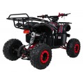 Čtyřkolka WILDPEAK 110cc Red Combustion
