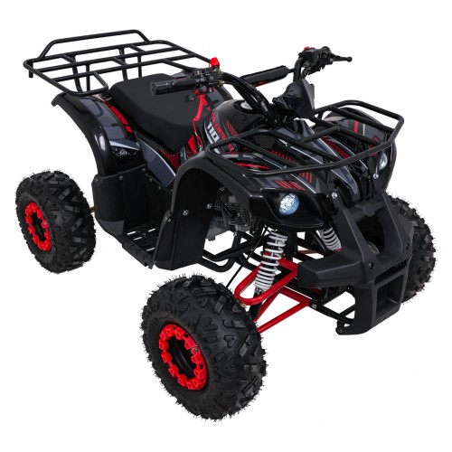 Čtyřkolka WILDPEAK 110cc Red Combustion