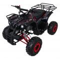 Čtyřkolka WILDPEAK 110cc Red Combustion