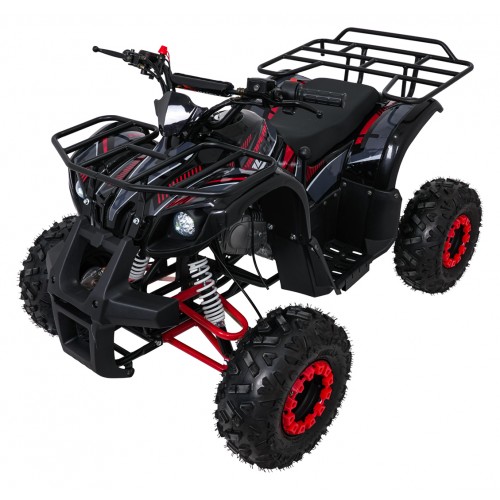 Čtyřkolka WILDPEAK 110cc Red Combustion