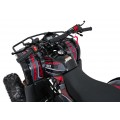 Čtyřkolka WILDPEAK 110cc Red Combustion