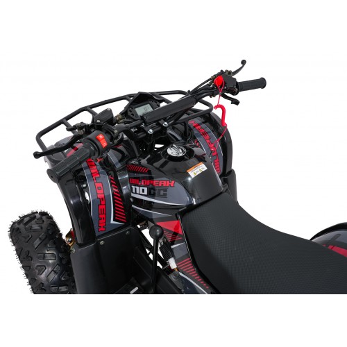 Čtyřkolka WILDPEAK 110cc Red Combustion