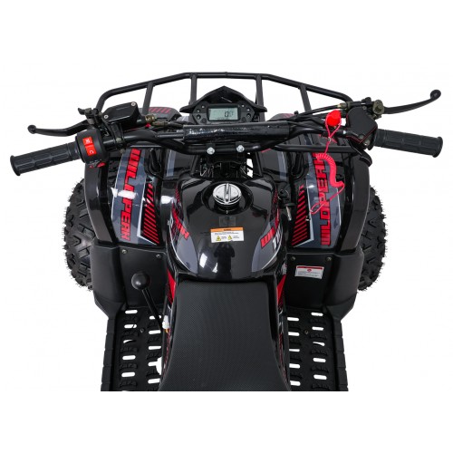 Čtyřkolka WILDPEAK 110cc Red Combustion