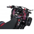 Čtyřkolka WILDPEAK 110cc Red Combustion