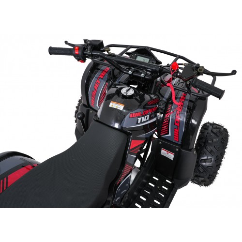 Čtyřkolka WILDPEAK 110cc Red Combustion