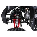 Čtyřkolka WILDPEAK 110cc Red Combustion