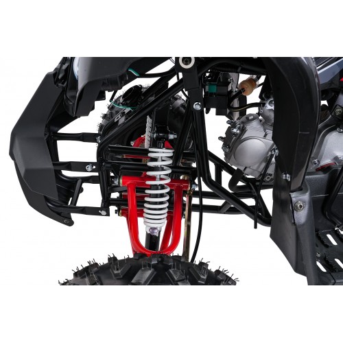 Čtyřkolka WILDPEAK 110cc Red Combustion