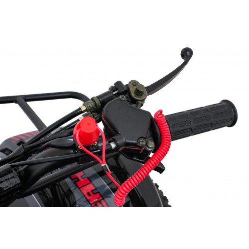 Čtyřkolka WILDPEAK 110cc Red Combustion