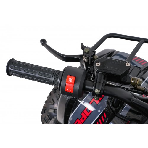 Čtyřkolka WILDPEAK 110cc Red Combustion