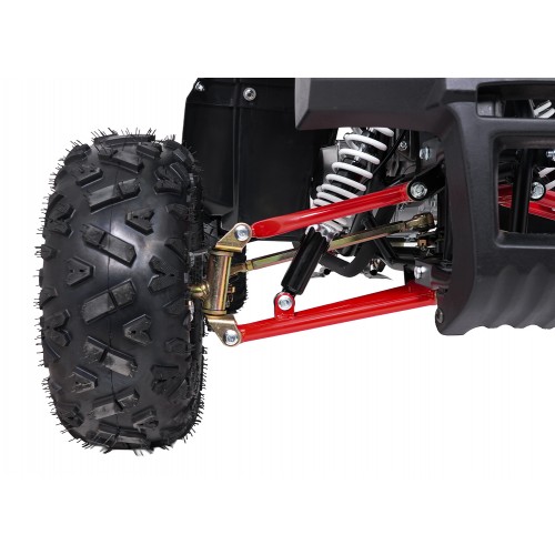 Čtyřkolka WILDPEAK 110cc Red Combustion