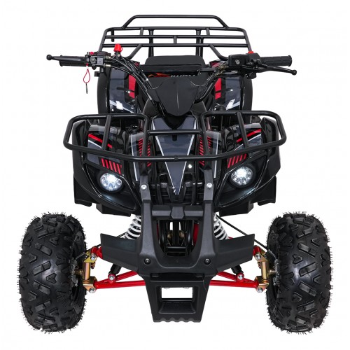 Čtyřkolka WILDPEAK 110cc Red Combustion
