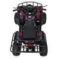 Čtyřkolka WILDPEAK 110cc Red Combustion