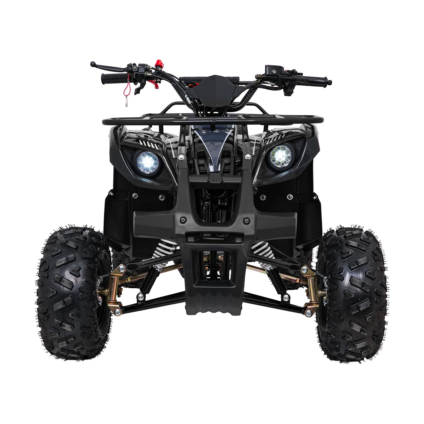 Čtyřkolka WILDPEAK 110cc Black Combustion