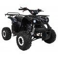 Čtyřkolka WILDPEAK 110cc Black Combustion