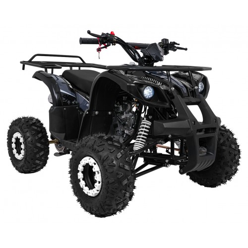 Čtyřkolka WILDPEAK 110cc Black Combustion