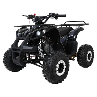 Čtyřkolka WILDPEAK 110cc Black Combustion