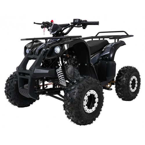 Čtyřkolka WILDPEAK 110cc Black Combustion