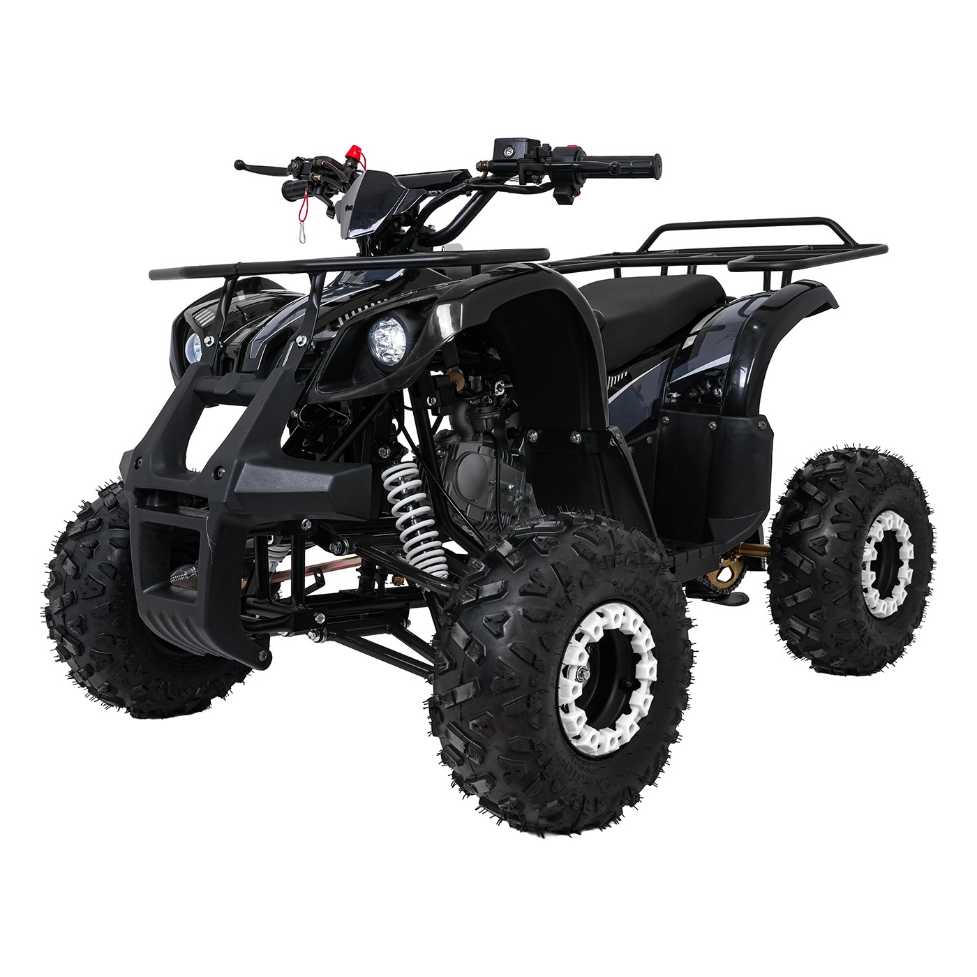 Čtyřkolka WILDPEAK 110cc Black Combustion