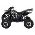 Čtyřkolka WILDPEAK 110cc Black Combustion
