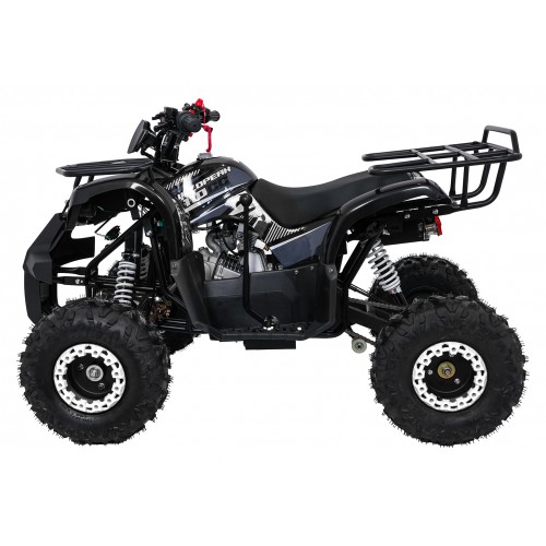 Čtyřkolka WILDPEAK 110cc Black Combustion
