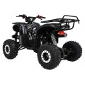 Čtyřkolka WILDPEAK 110cc Black Combustion