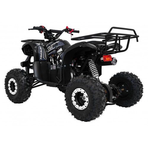 Čtyřkolka WILDPEAK 110cc Black Combustion