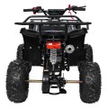 Čtyřkolka WILDPEAK 110cc Black Combustion