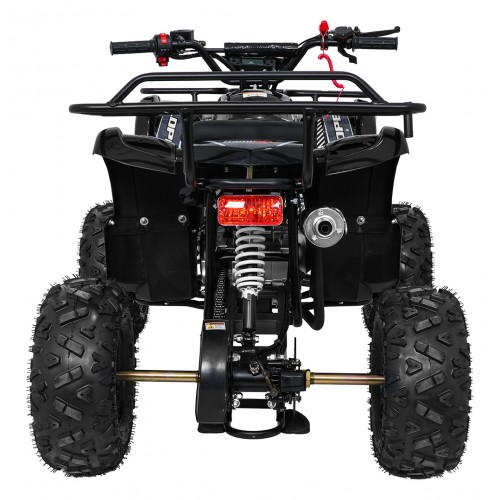 Čtyřkolka WILDPEAK 110cc Black Combustion