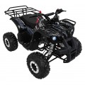 Čtyřkolka WILDPEAK 110cc Black Combustion
