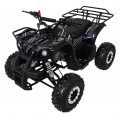 Čtyřkolka WILDPEAK 110cc Black Combustion