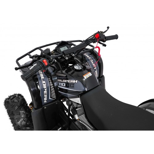 Čtyřkolka WILDPEAK 110cc Black Combustion